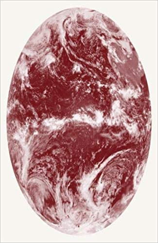 book cover image and hyperlink for: Tools for Extinction
edited by Denise Rose Hansen
May 2020, Lolli Editions