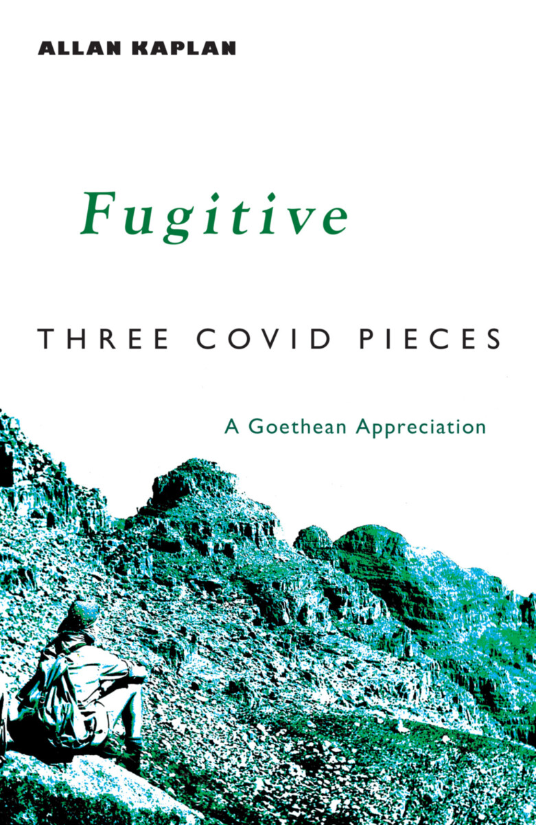 book cover image and hyperlink for: Fugitive: Three Covid Pieces: A Goethian Appreciation
by Allan Kaplan
June 2023, Lindisfarne Books