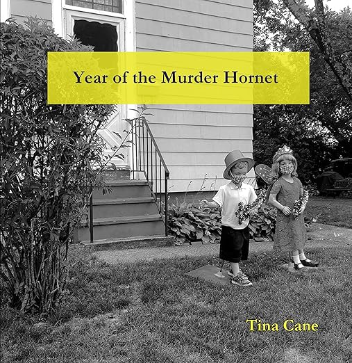 book cover image and hyperlink for: Year of the Murder Hornet
by Tina Cane
May 2022, Veliz Books