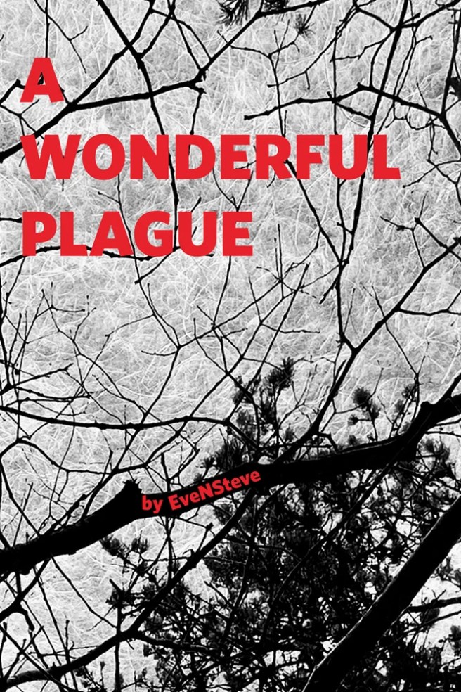 book cover image and hyperlink for: A Wonderful Plague
by EveNSteve
2020, Maison Kasini